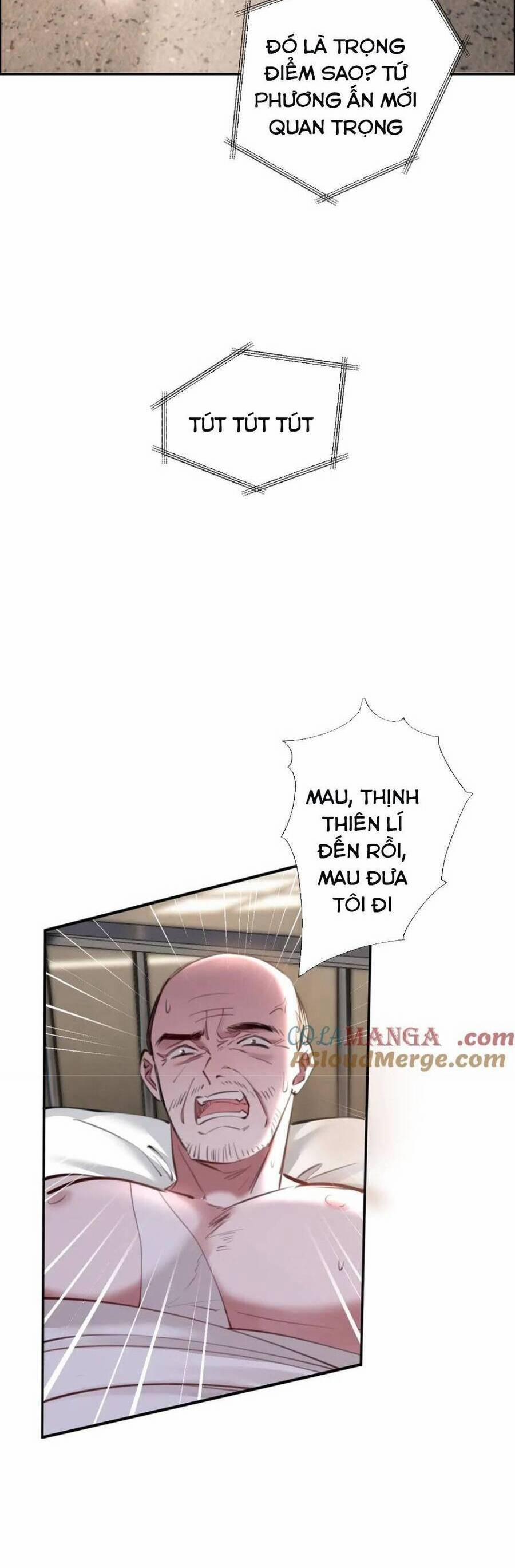 Tôi Cũng Là Đại Lão 43 trang 11