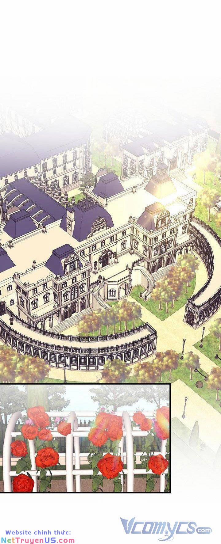 Tôi Cứu Anh Không Có Nghĩa Là Tôi Sẽ Cưới Anh 11 trang 51