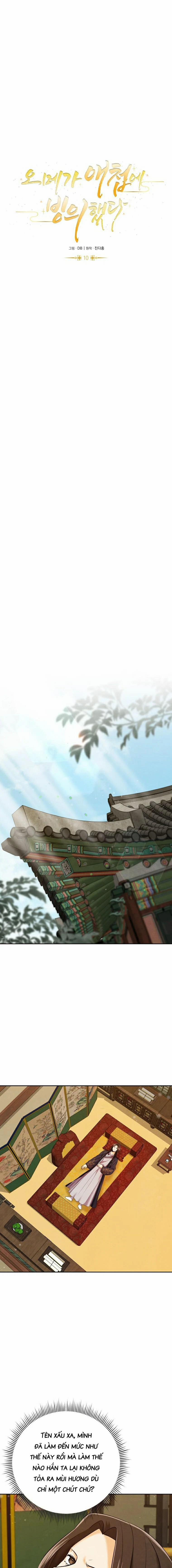 Tôi Đã Chuyển Sinh Thành Ái Thiếp Omega 10 trang 11