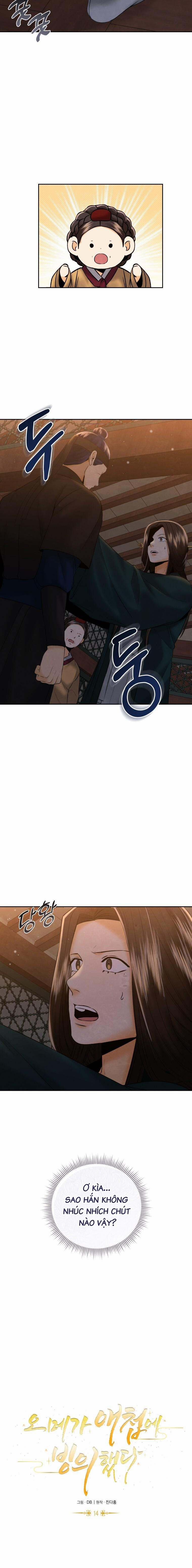 Tôi Đã Chuyển Sinh Thành Ái Thiếp Omega 14 trang 12