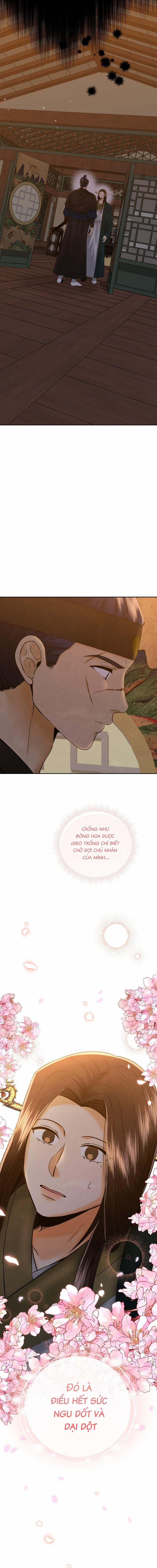 Tôi Đã Chuyển Sinh Thành Ái Thiếp Omega 14 trang 5