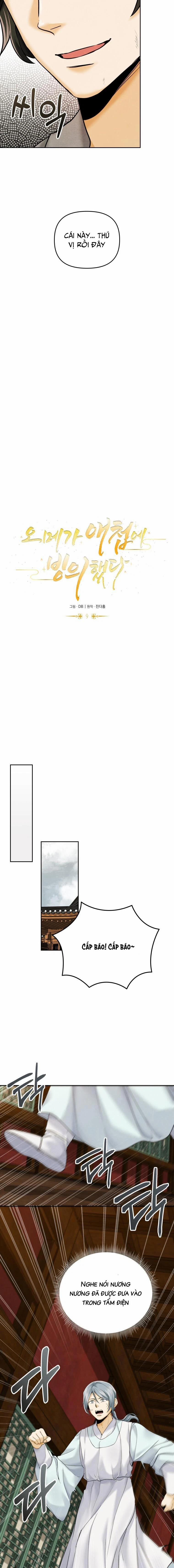 Tôi Đã Chuyển Sinh Thành Ái Thiếp Omega 9 trang 4