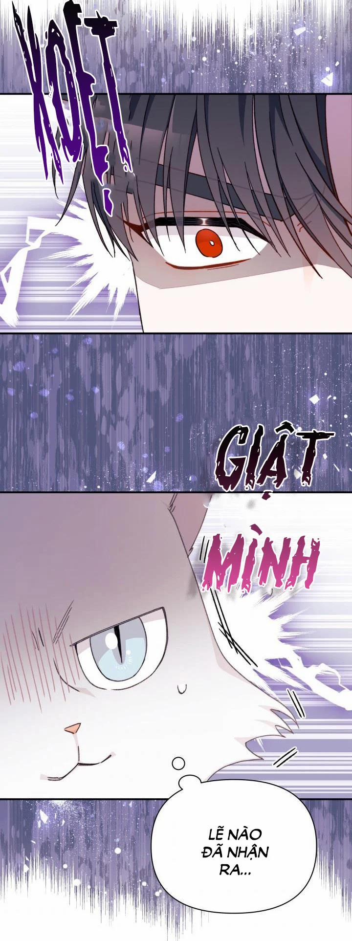 Tôi Đã Có Chồng Sau Khi Nhặt Được Nam Chính 32 trang 21