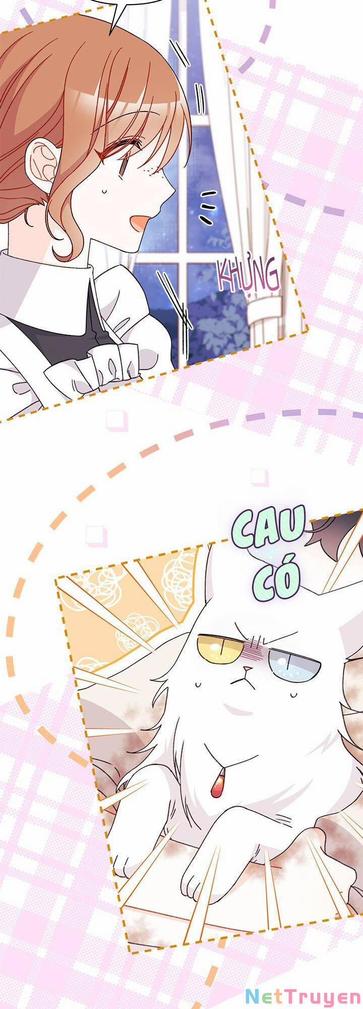 Tôi Đã Có Chồng Sau Khi Nhặt Được Nam Chính 42 trang 5