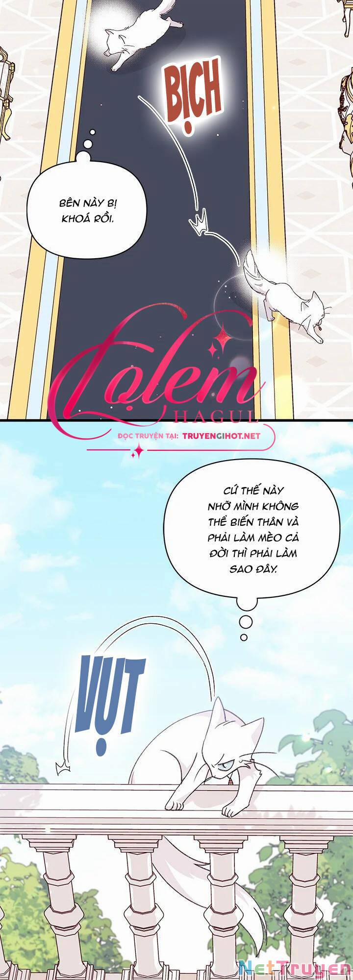 Tôi Đã Có Chồng Sau Khi Nhặt Được Nam Chính 47.1 trang 5