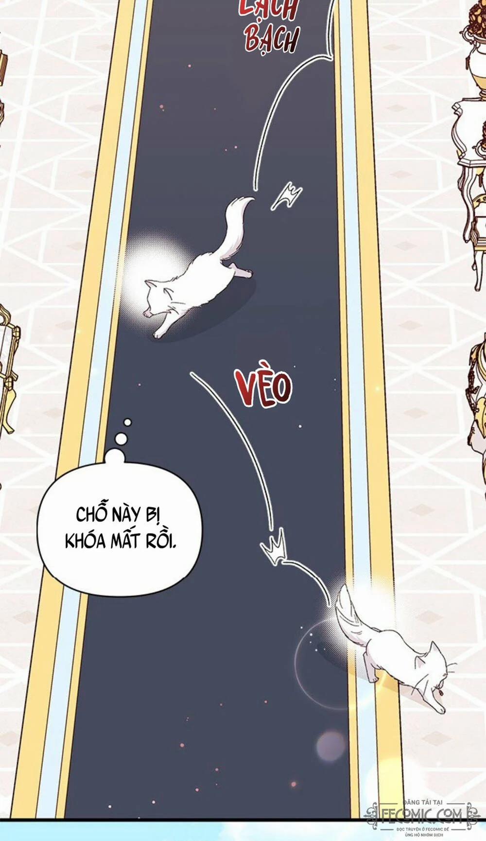 Tôi Đã Có Chồng Sau Khi Nhặt Được Nam Chính 47 trang 11