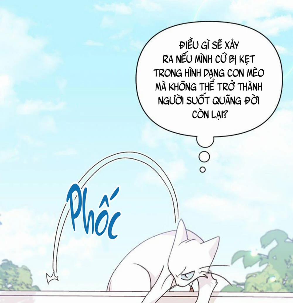 Tôi Đã Có Chồng Sau Khi Nhặt Được Nam Chính 47 trang 12