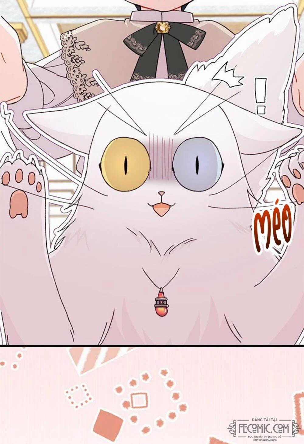 Tôi Đã Có Chồng Sau Khi Nhặt Được Nam Chính 47 trang 16