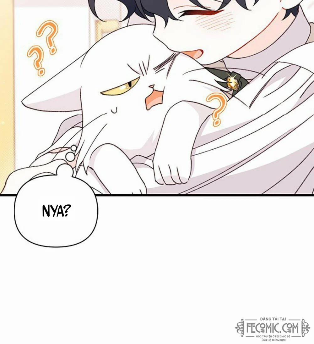 Tôi Đã Có Chồng Sau Khi Nhặt Được Nam Chính 47 trang 20