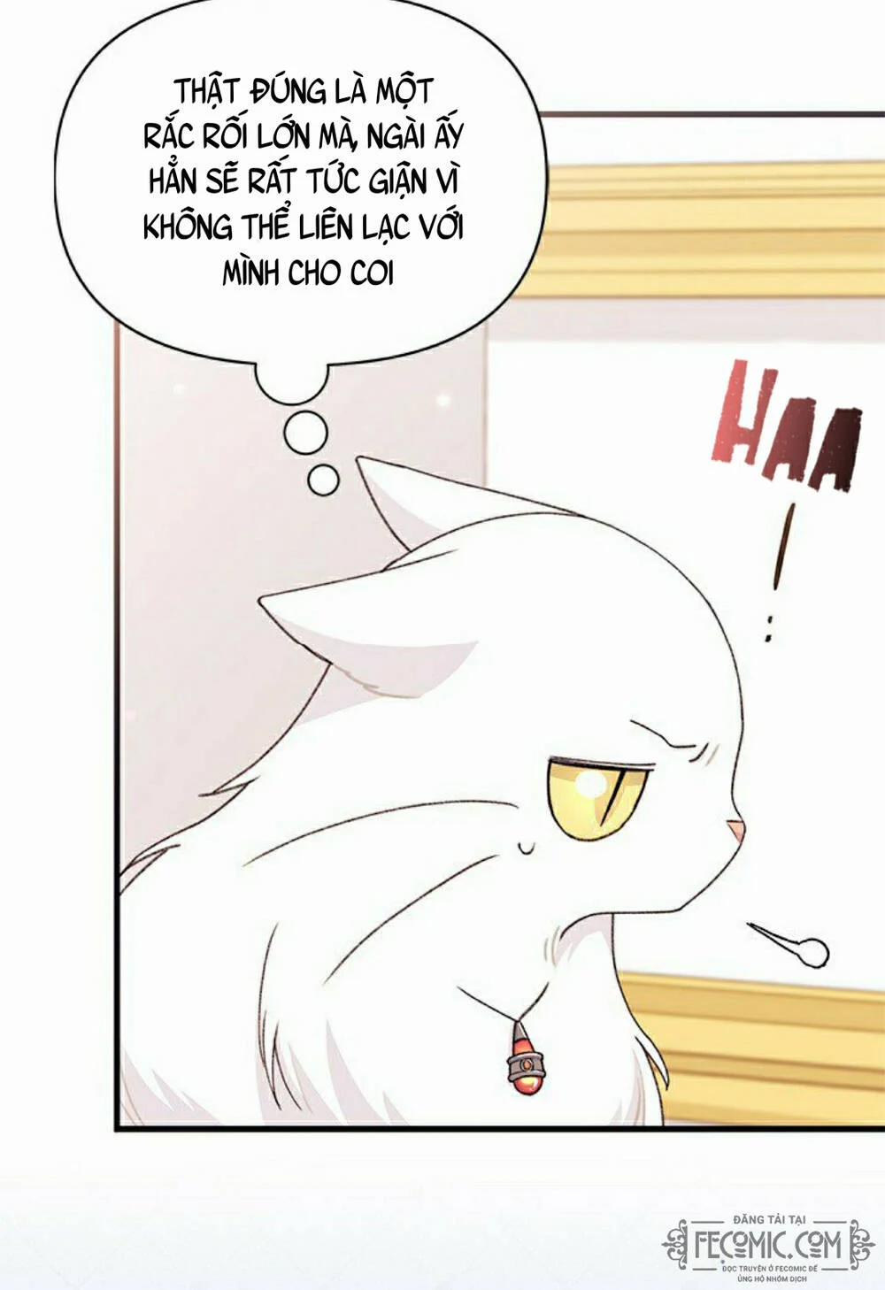 Tôi Đã Có Chồng Sau Khi Nhặt Được Nam Chính 47 trang 5