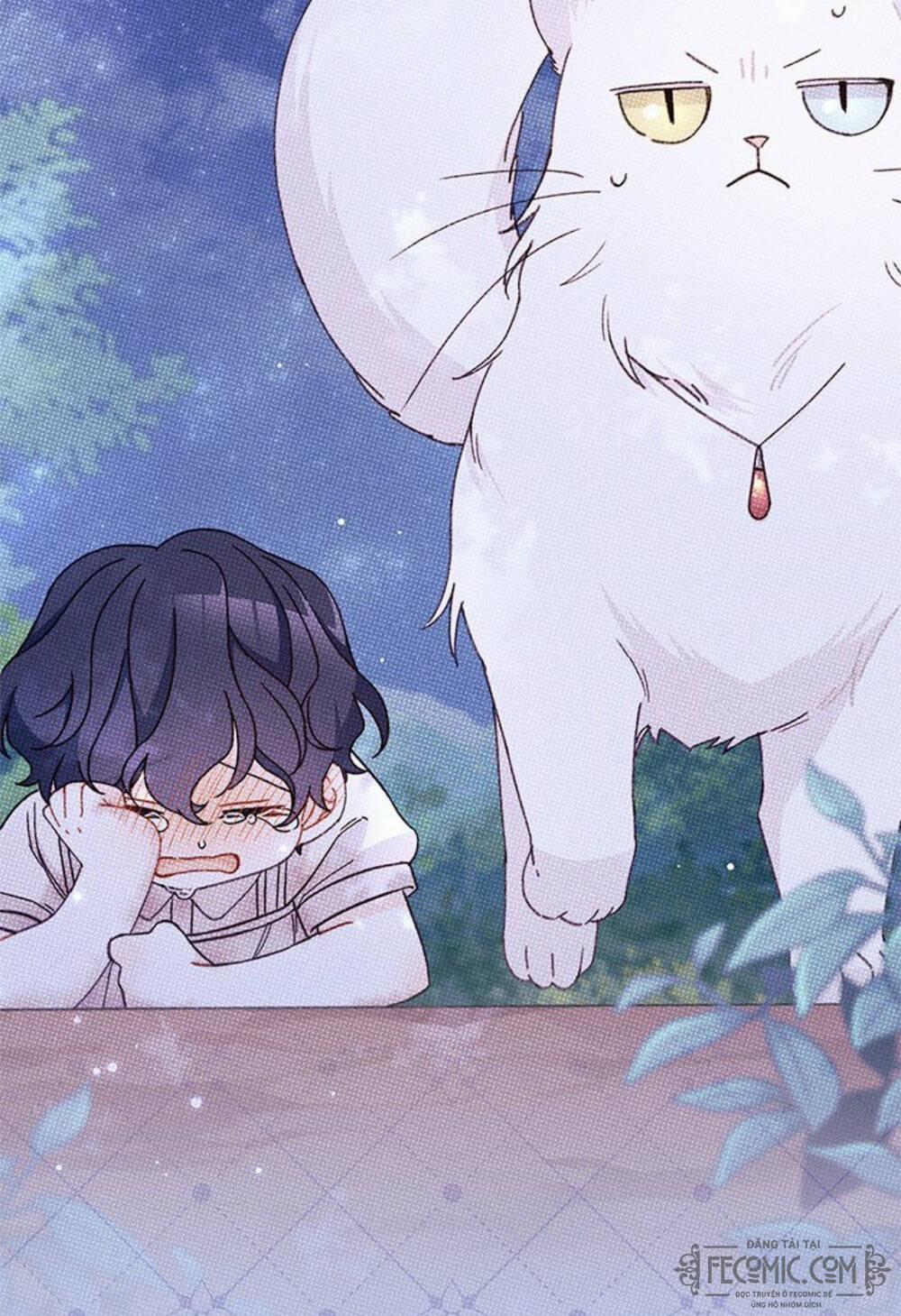 Tôi Đã Có Chồng Sau Khi Nhặt Được Nam Chính 47 trang 7