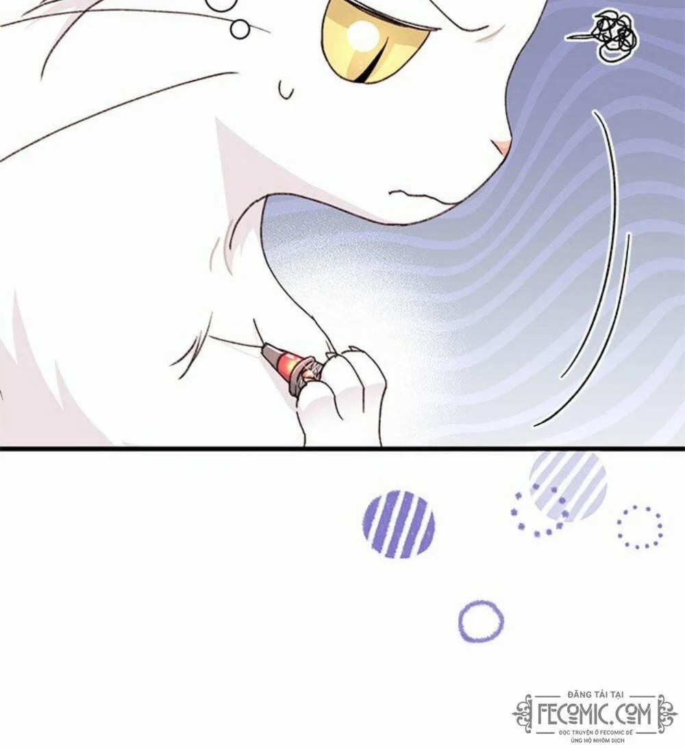 Tôi Đã Có Chồng Sau Khi Nhặt Được Nam Chính 47 trang 9