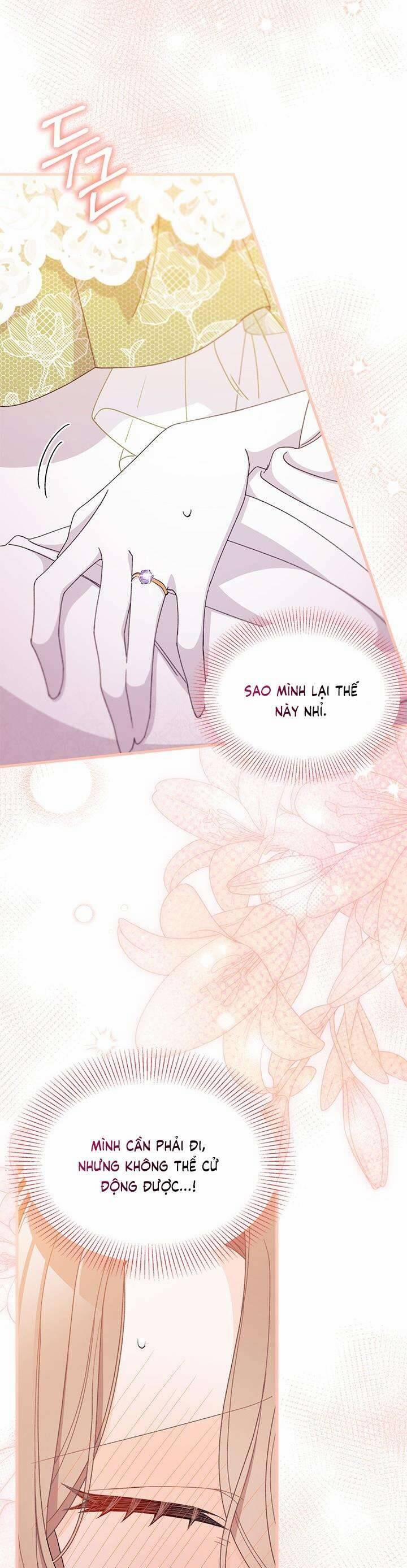 Tôi Đã Có Chồng Sau Khi Nhặt Được Nam Chính 66 trang 11