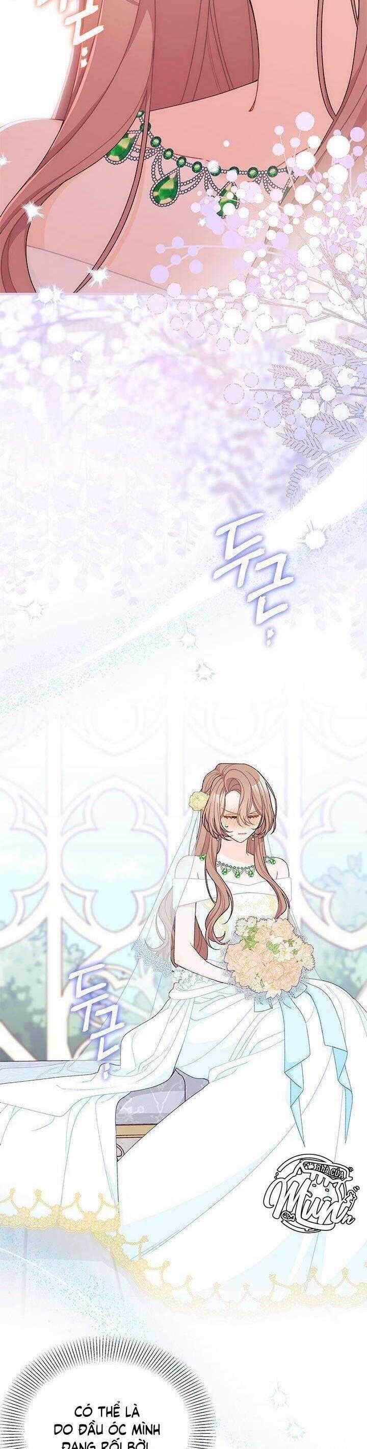 Tôi Đã Có Chồng Sau Khi Nhặt Được Nam Chính 67 trang 20