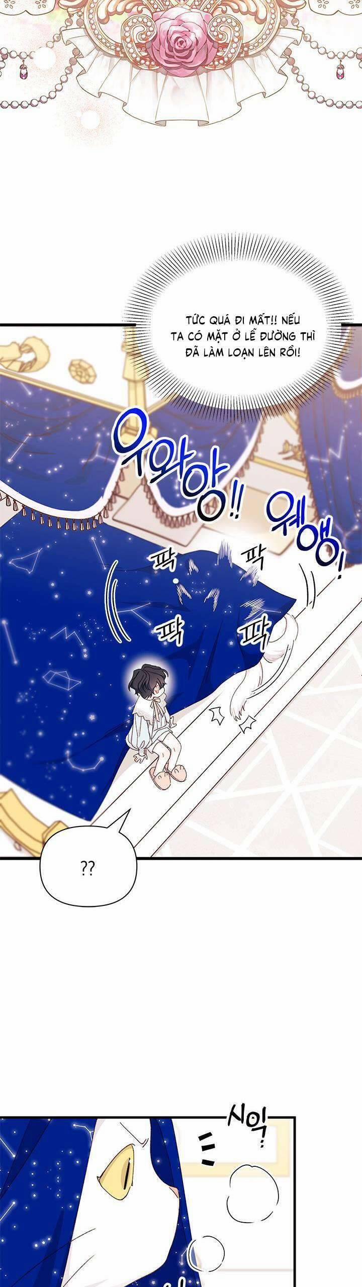 Tôi Đã Có Chồng Sau Khi Nhặt Được Nam Chính 69 trang 5