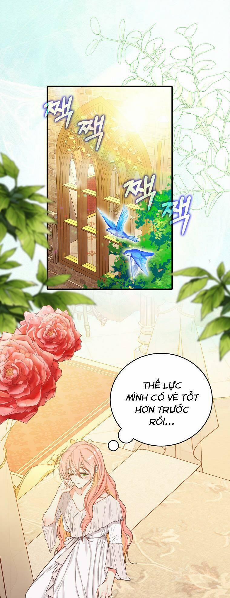 Tôi Đã Cố Gắng Chạy Sau Khi Ăn Kẹo 6 trang 0