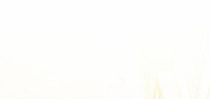 Tôi Đã Luôn Ở Đây Ngay Từ Đầu 33 trang 45