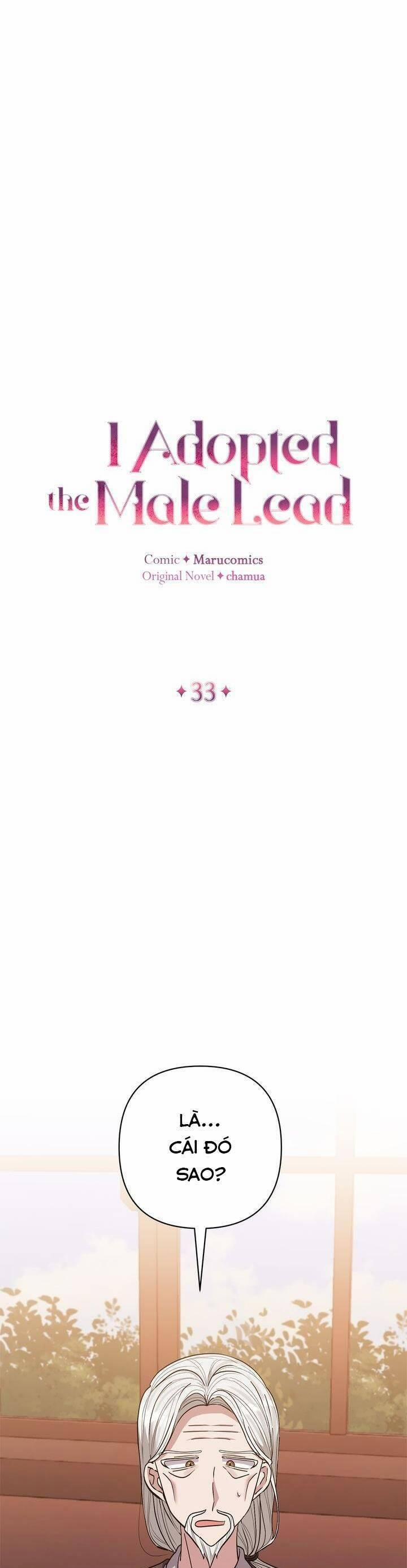 Tôi Đã Nhận Nuôi Nam Chính 33 trang 10