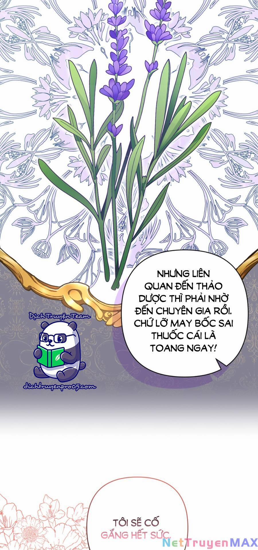 Tôi Đã Nhận Nuôi Nam Chính 56 trang 52