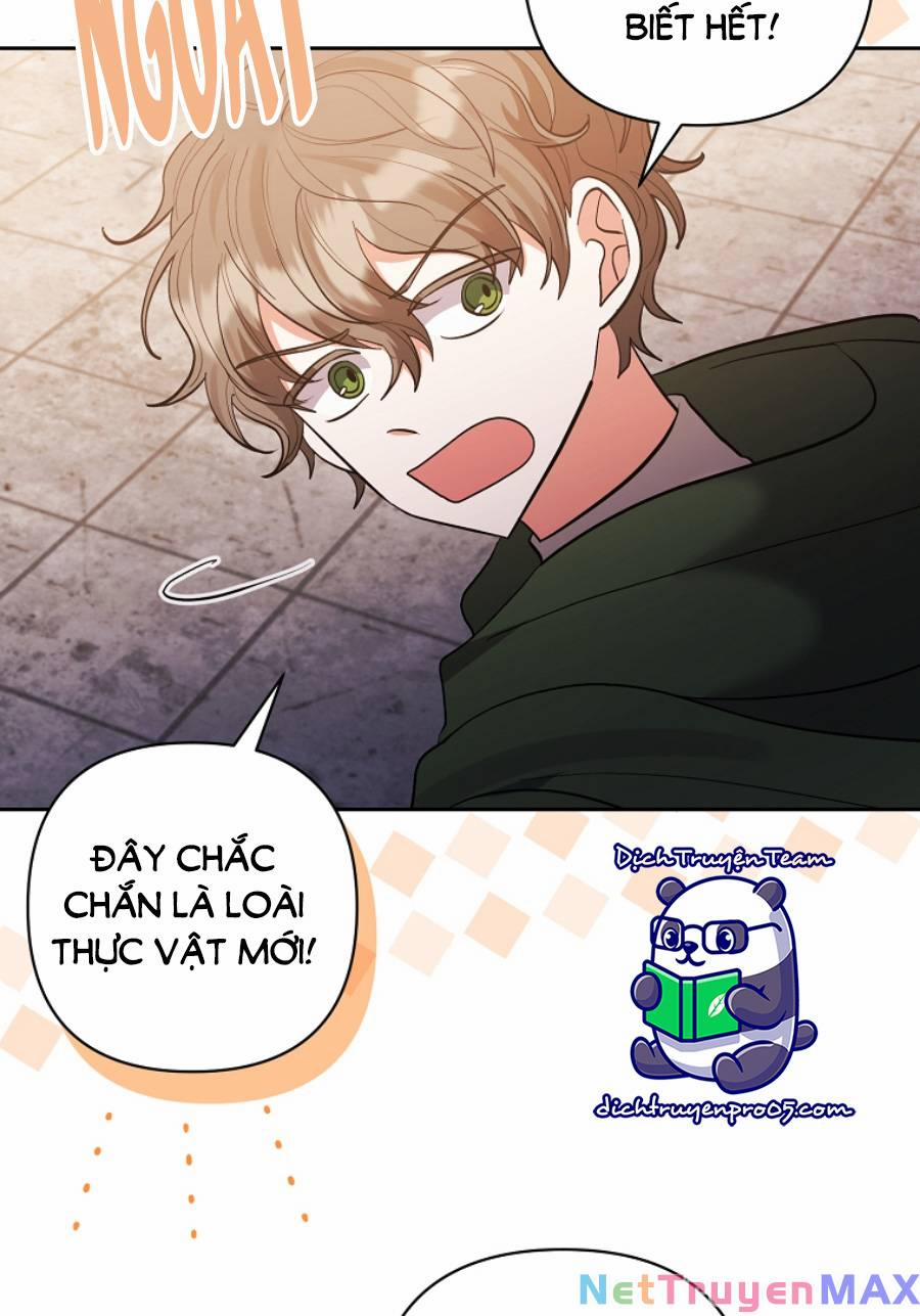 Tôi Đã Nhận Nuôi Nam Chính 60 trang 4