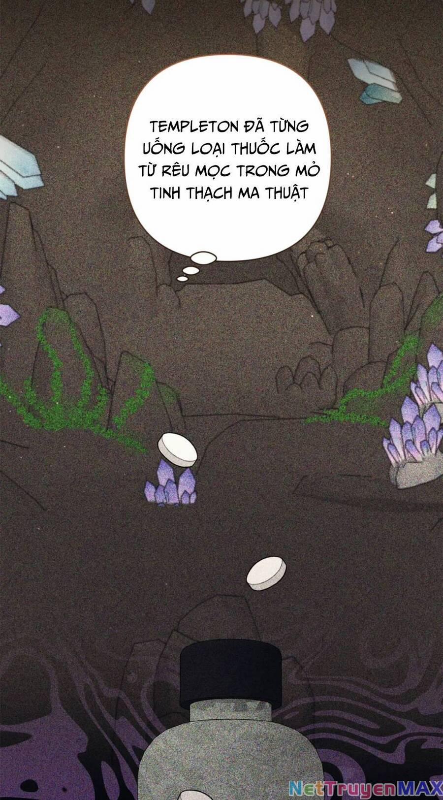 Tôi Đã Nhận Nuôi Nam Chính 62 trang 25