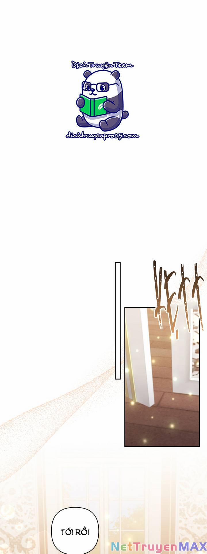 Tôi Đã Nhận Nuôi Nam Chính 63 trang 47