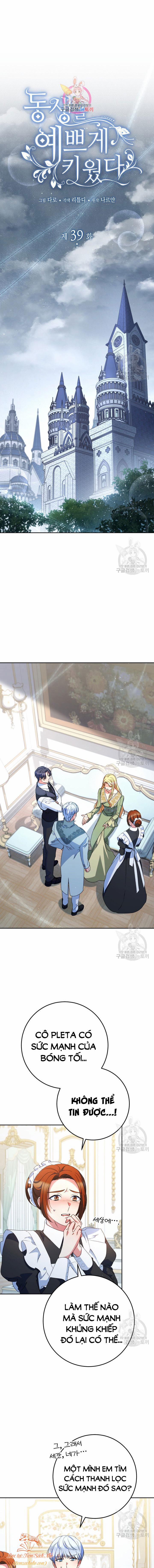 Tôi Đã Nuôi Dạy Em Gái Mình Một Cách Hoàn Hảo 39 trang 0