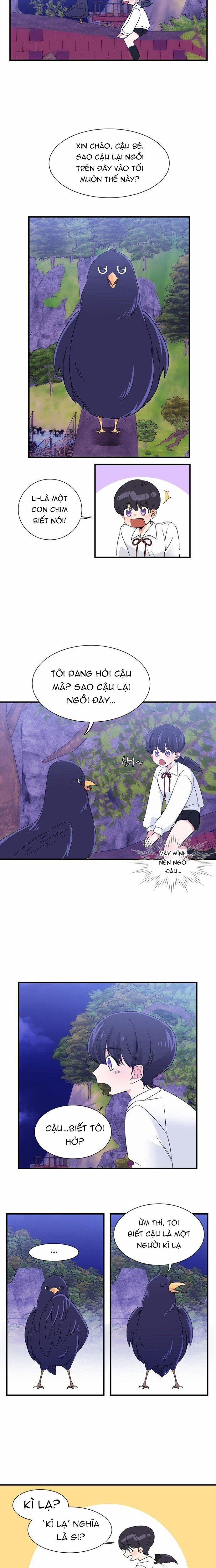 Tôi Đã Nuôi Dưỡng Một Hoàng Tử 5 trang 11