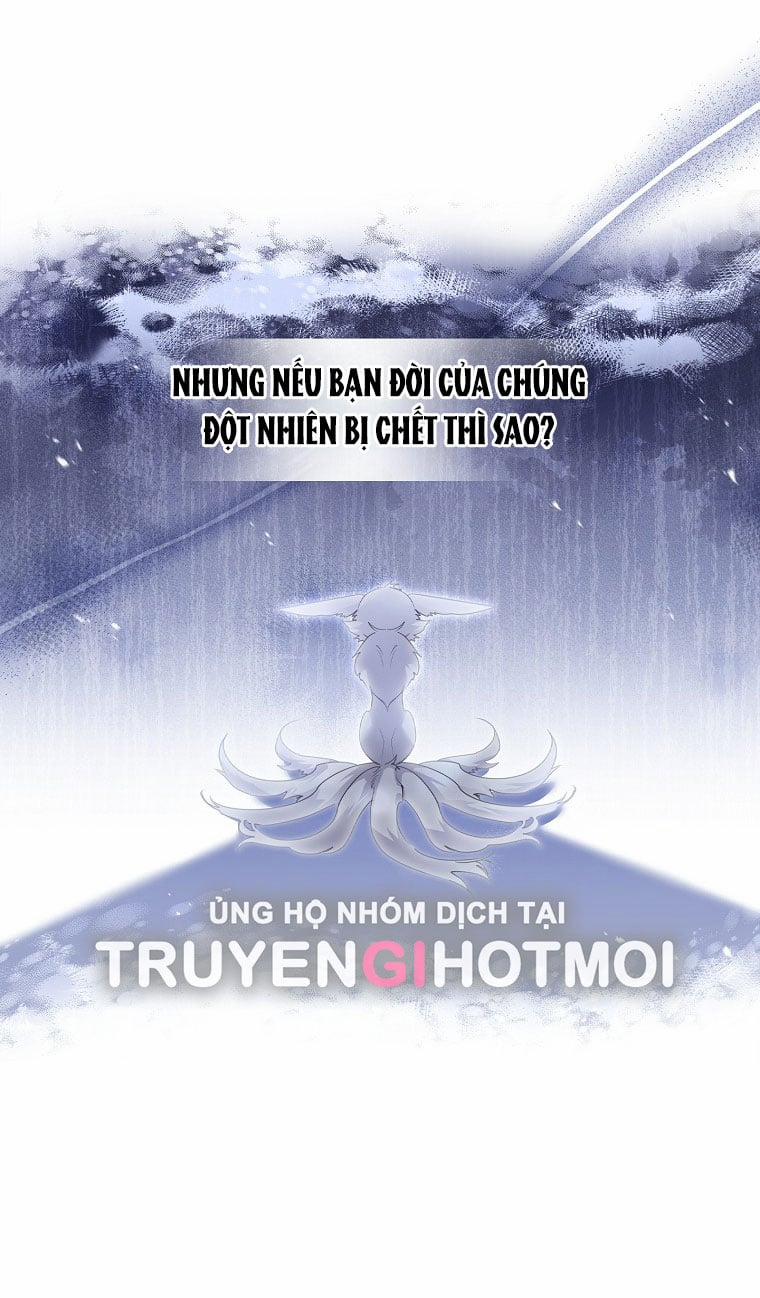 Tôi Đã Nuôi Hồ Ly Sai Cách Rồi 10.1 trang 10