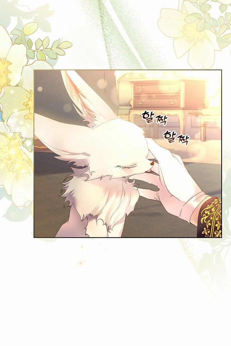 Tôi Đã Nuôi Hồ Ly Sai Cách Rồi 10.1 trang 21