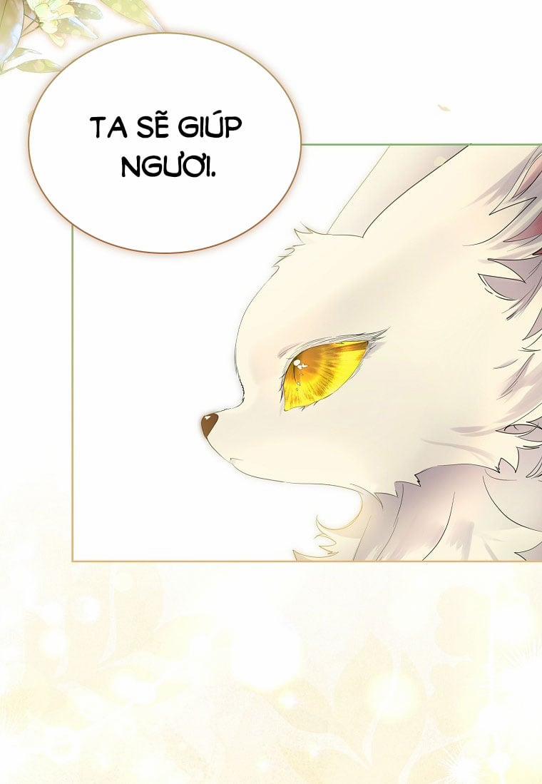 Tôi Đã Nuôi Hồ Ly Sai Cách Rồi 10.1 trang 24