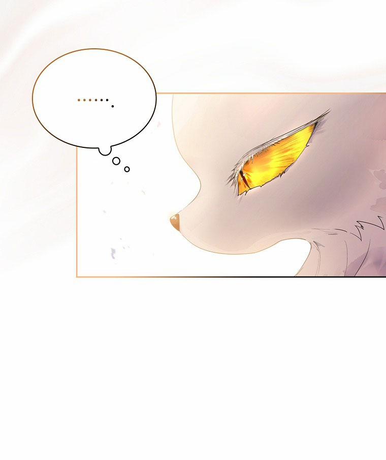 Tôi Đã Nuôi Hồ Ly Sai Cách Rồi 10.2 trang 11