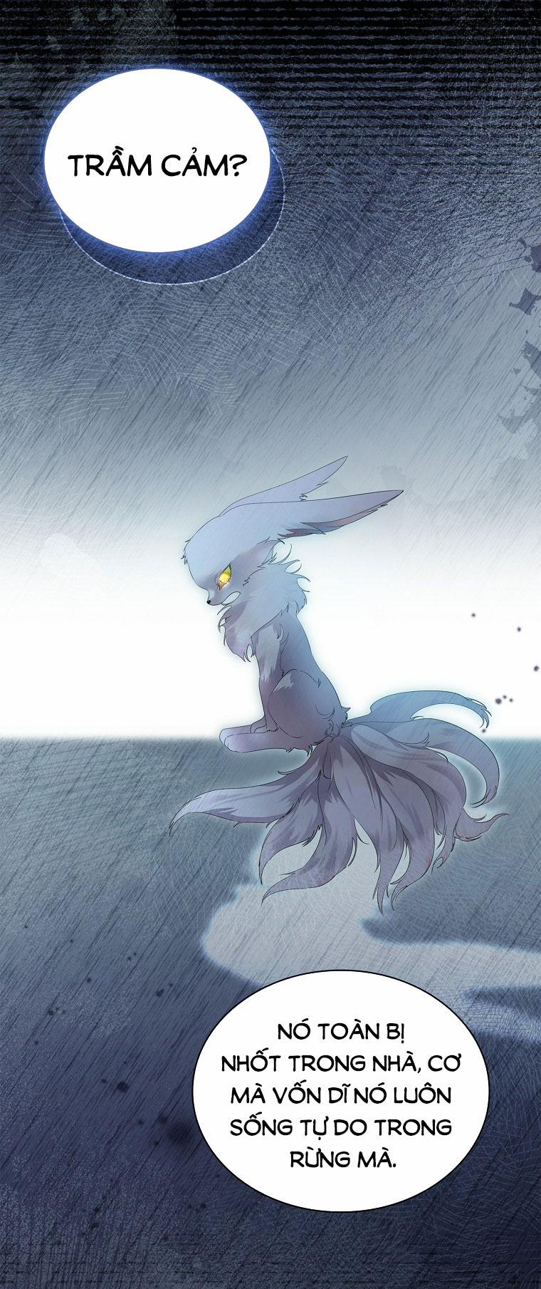 Tôi Đã Nuôi Hồ Ly Sai Cách Rồi 11.2 trang 27