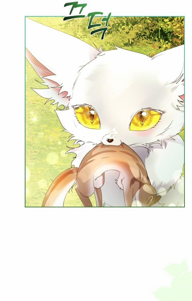 Tôi Đã Nuôi Hồ Ly Sai Cách Rồi 12.2 trang 12