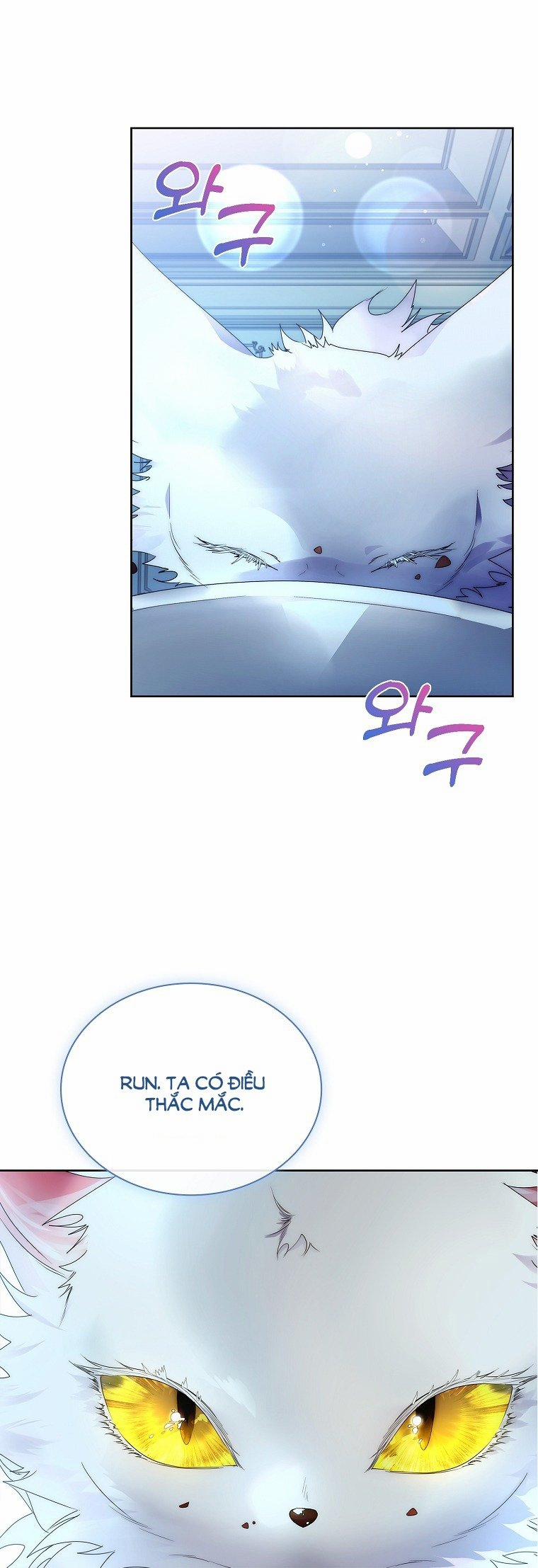 Tôi Đã Nuôi Hồ Ly Sai Cách Rồi 14.1 trang 21