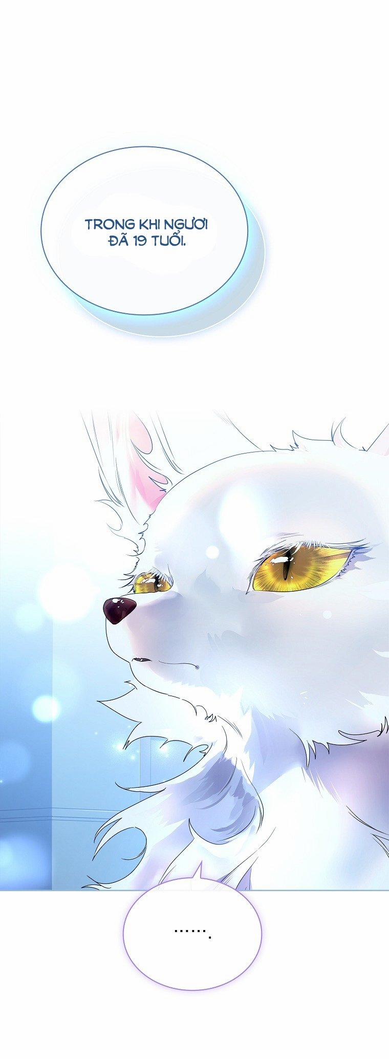 Tôi Đã Nuôi Hồ Ly Sai Cách Rồi 14.1 trang 24