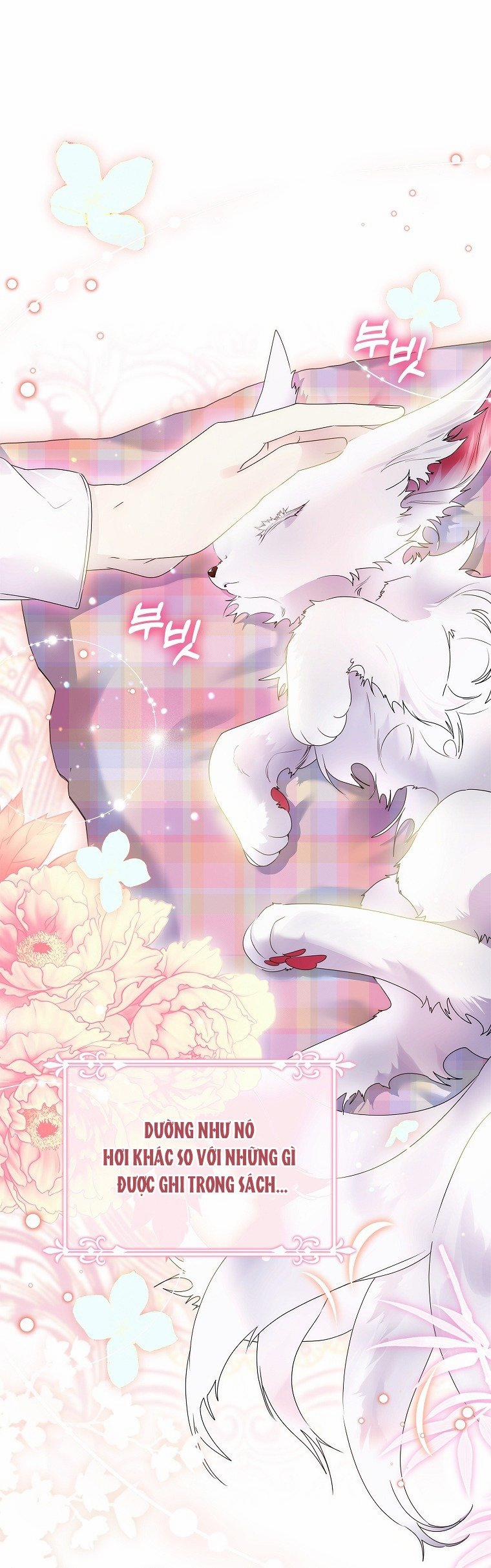 Tôi Đã Nuôi Hồ Ly Sai Cách Rồi 14.1 trang 9