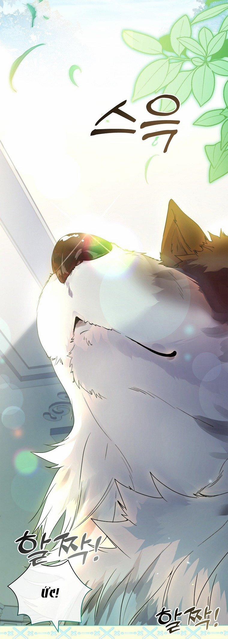 Tôi Đã Nuôi Hồ Ly Sai Cách Rồi 16.1 trang 19