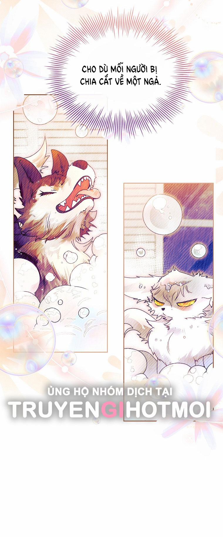 Tôi Đã Nuôi Hồ Ly Sai Cách Rồi 19.2 trang 13