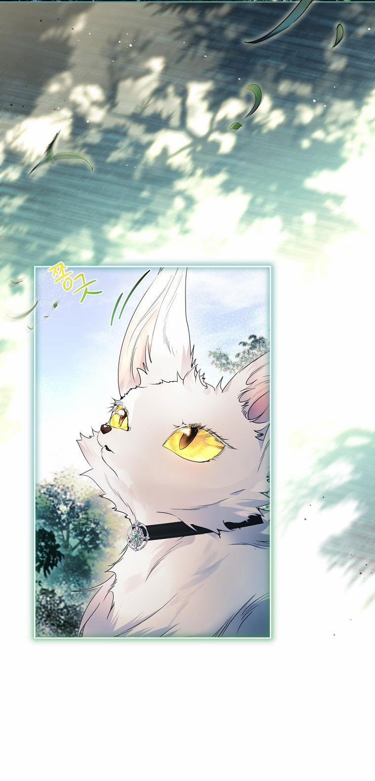 Tôi Đã Nuôi Hồ Ly Sai Cách Rồi 21.1 trang 13