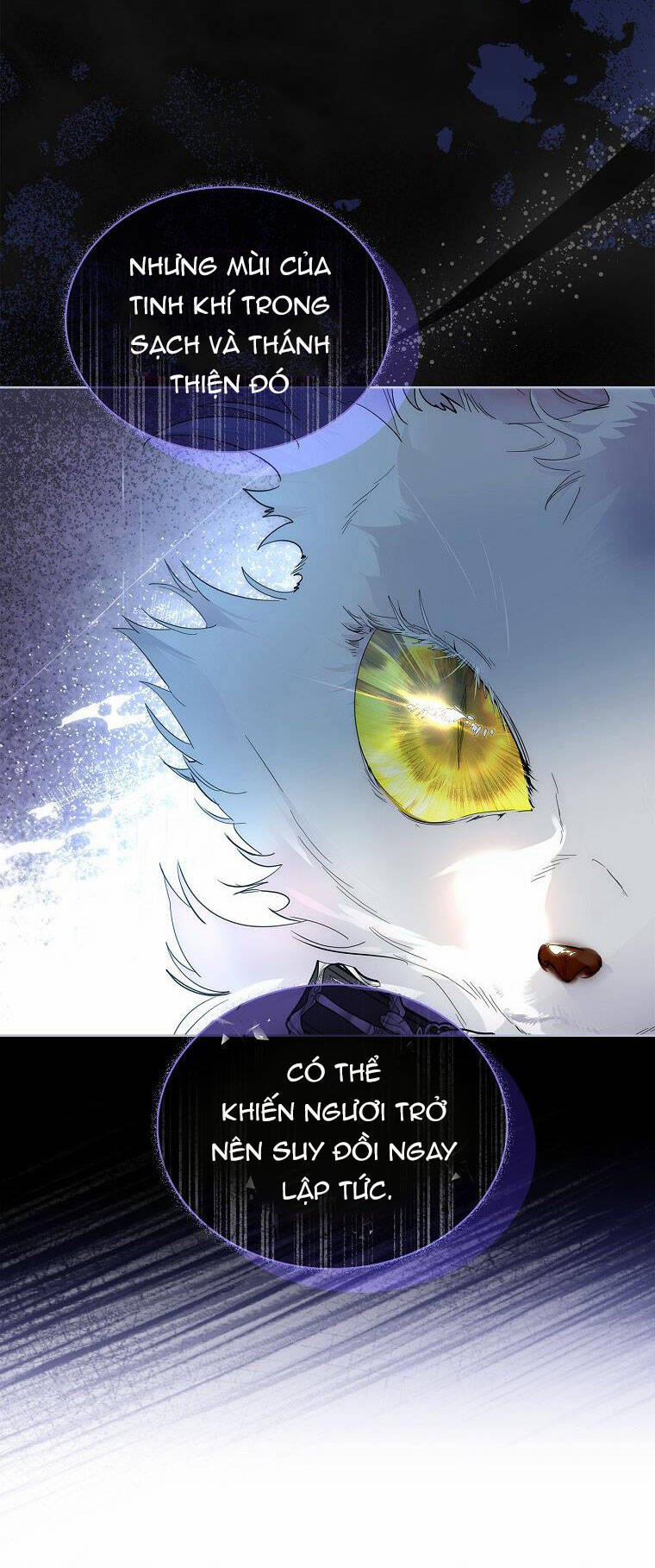 Tôi Đã Nuôi Hồ Ly Sai Cách Rồi 34.1 trang 14