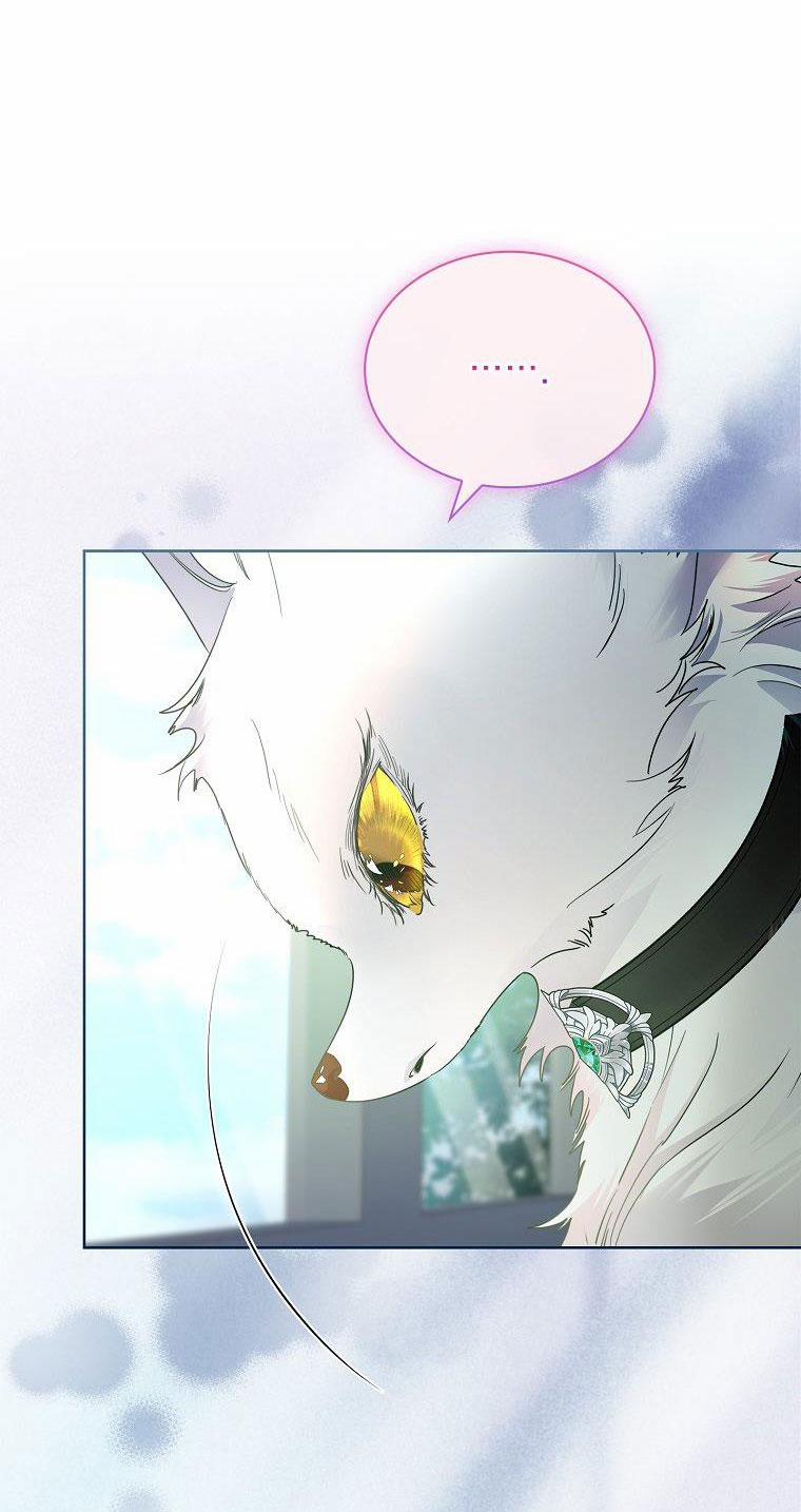 Tôi Đã Nuôi Hồ Ly Sai Cách Rồi 36.1 trang 4