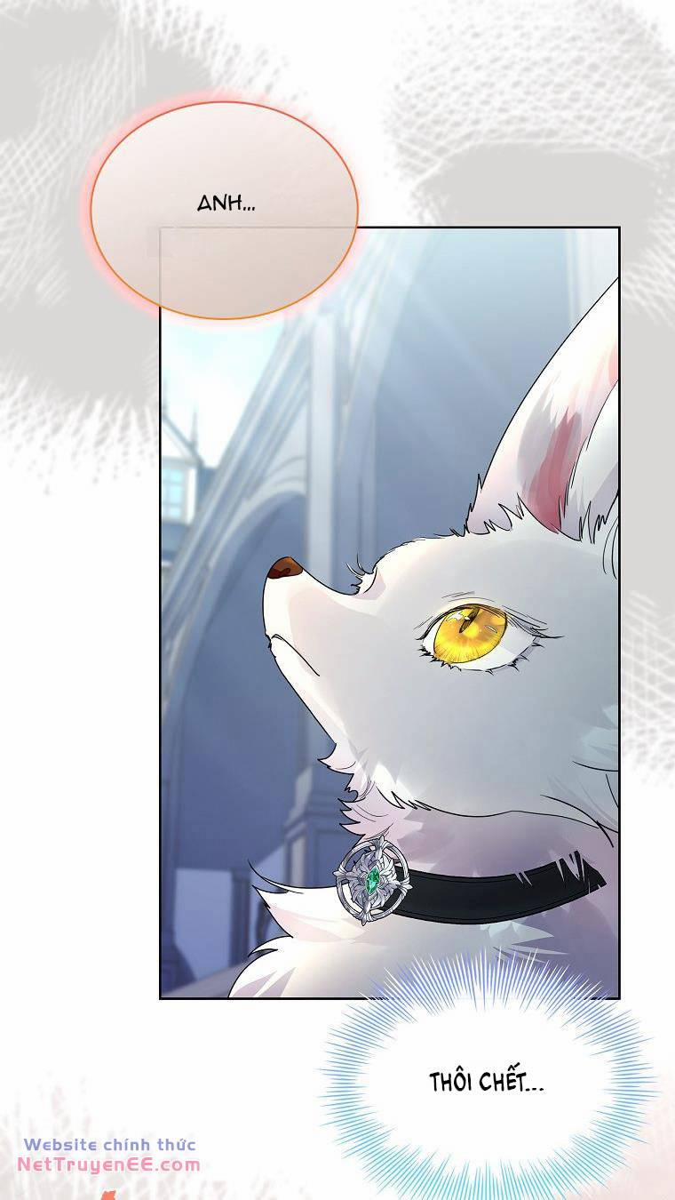 Tôi Đã Nuôi Hồ Ly Sai Cách Rồi 36 trang 22