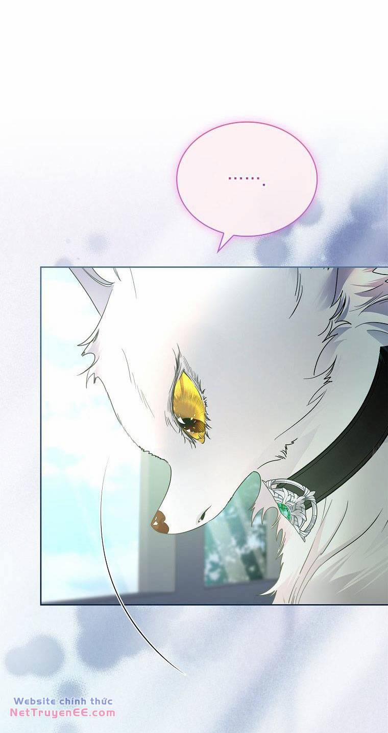 Tôi Đã Nuôi Hồ Ly Sai Cách Rồi 36 trang 4