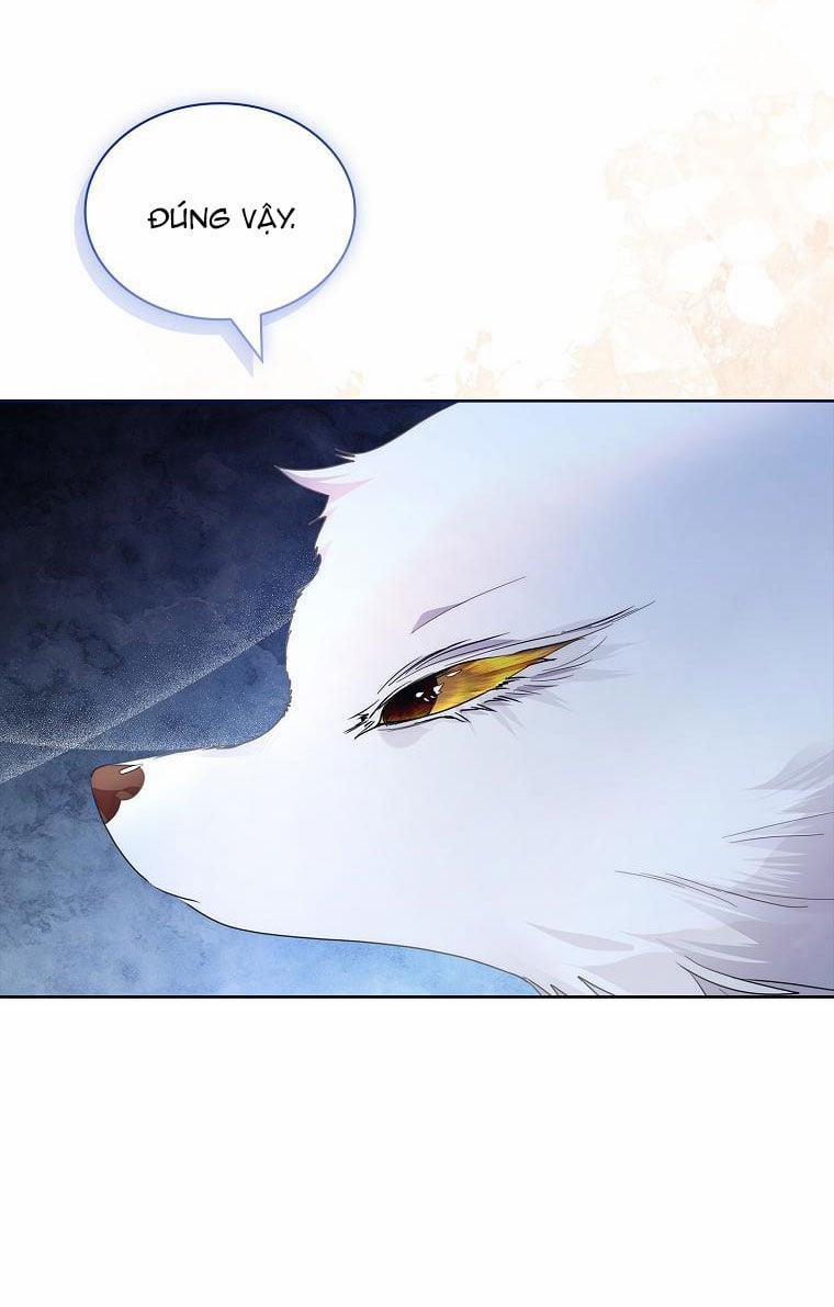 Tôi Đã Nuôi Hồ Ly Sai Cách Rồi 37.2 trang 9