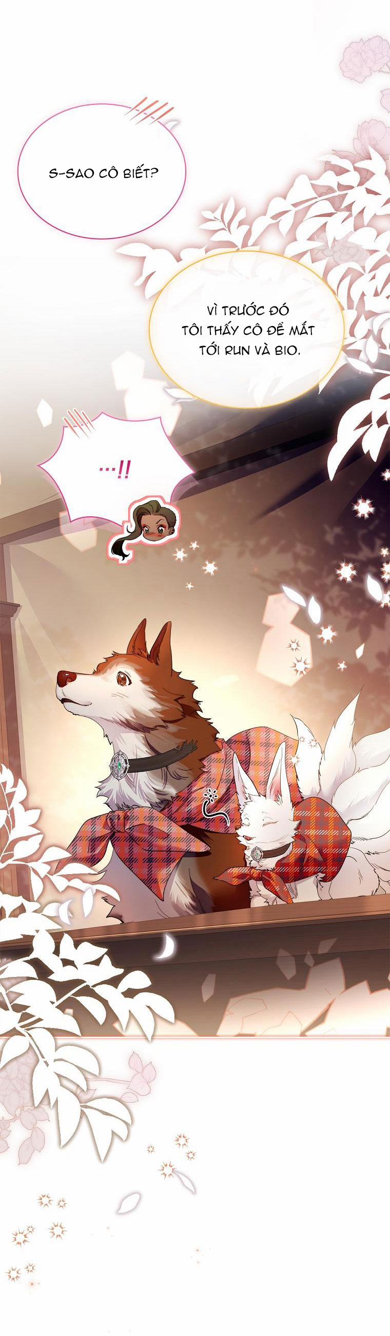 Tôi Đã Nuôi Hồ Ly Sai Cách Rồi 38.1 trang 2