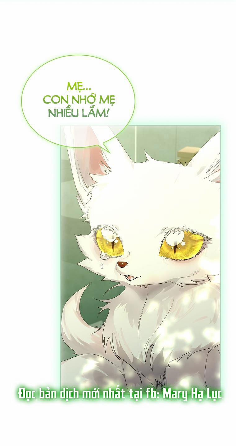 Tôi Đã Nuôi Hồ Ly Sai Cách Rồi 6.1 trang 18