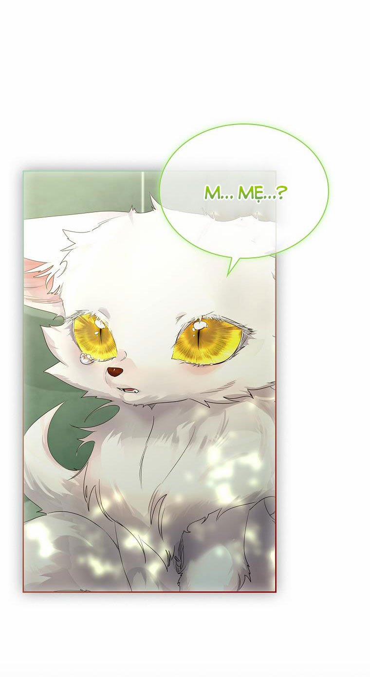 Tôi Đã Nuôi Hồ Ly Sai Cách Rồi 6.1 trang 19