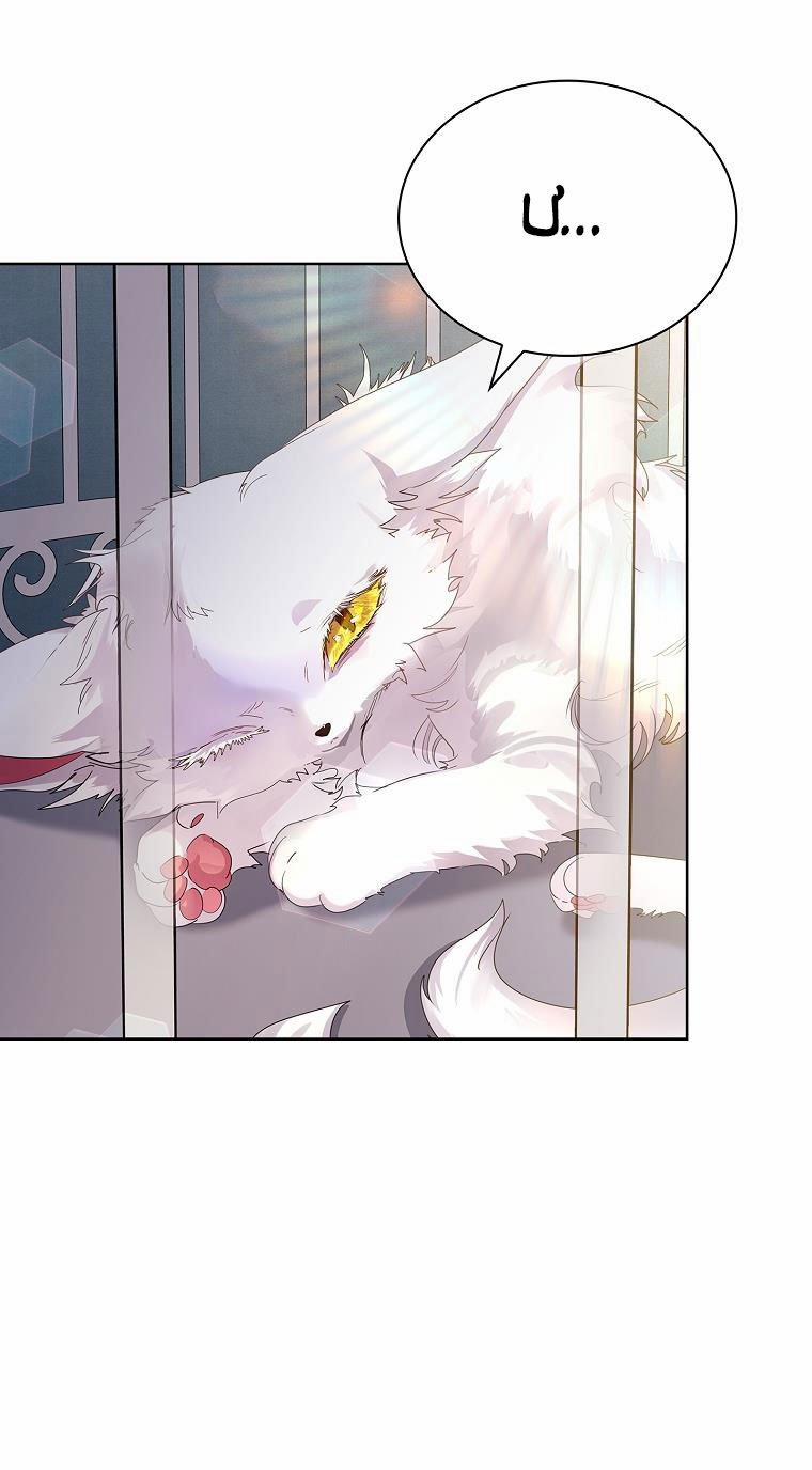 Tôi Đã Nuôi Hồ Ly Sai Cách Rồi 6.2 trang 14