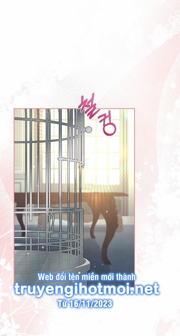 Tôi Đã Nuôi Hồ Ly Sai Cách Rồi 6.2 trang 17